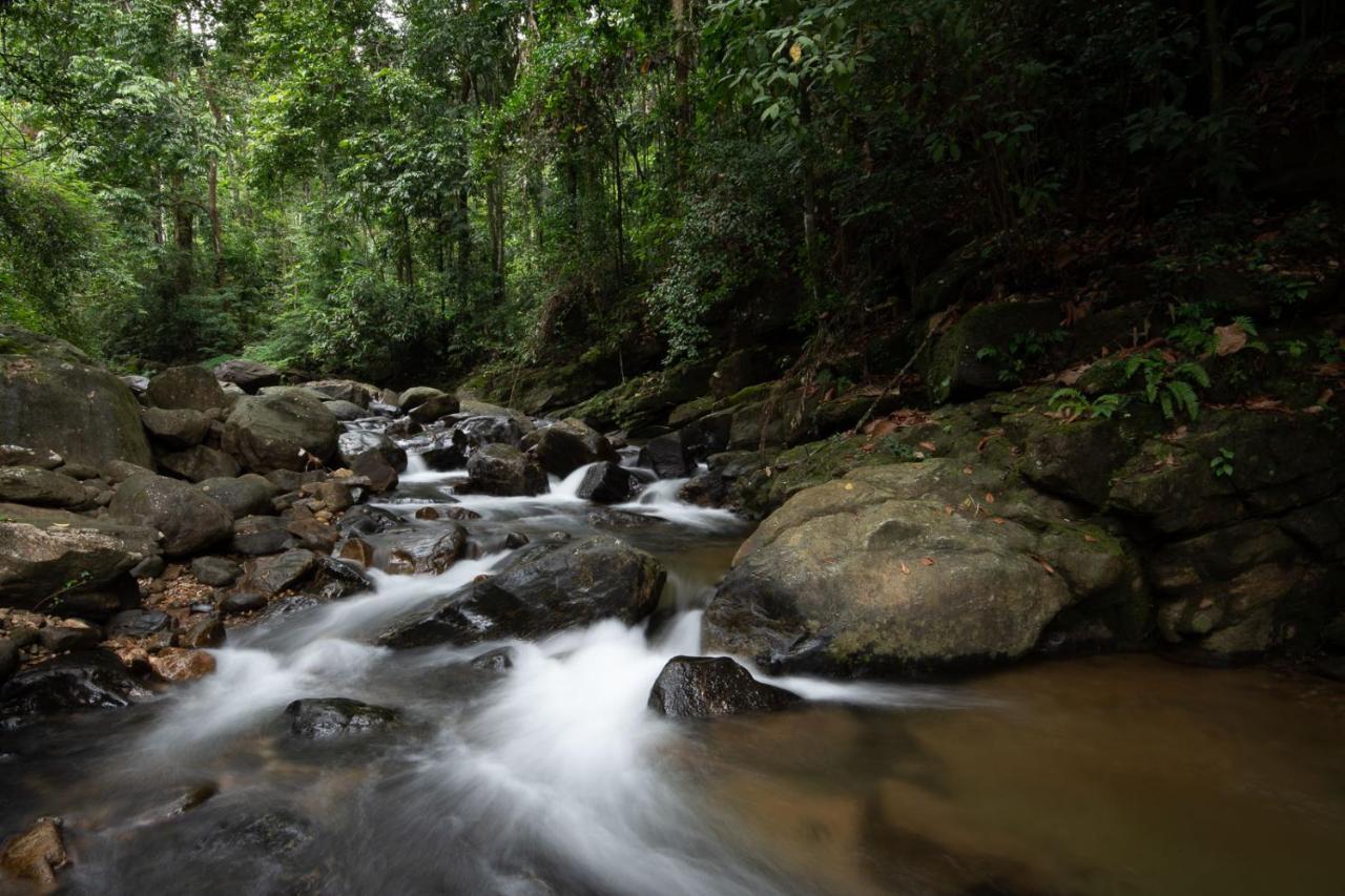 Moksha At Kitulgala - Rainforest Boutique Hotel Exteriör bild